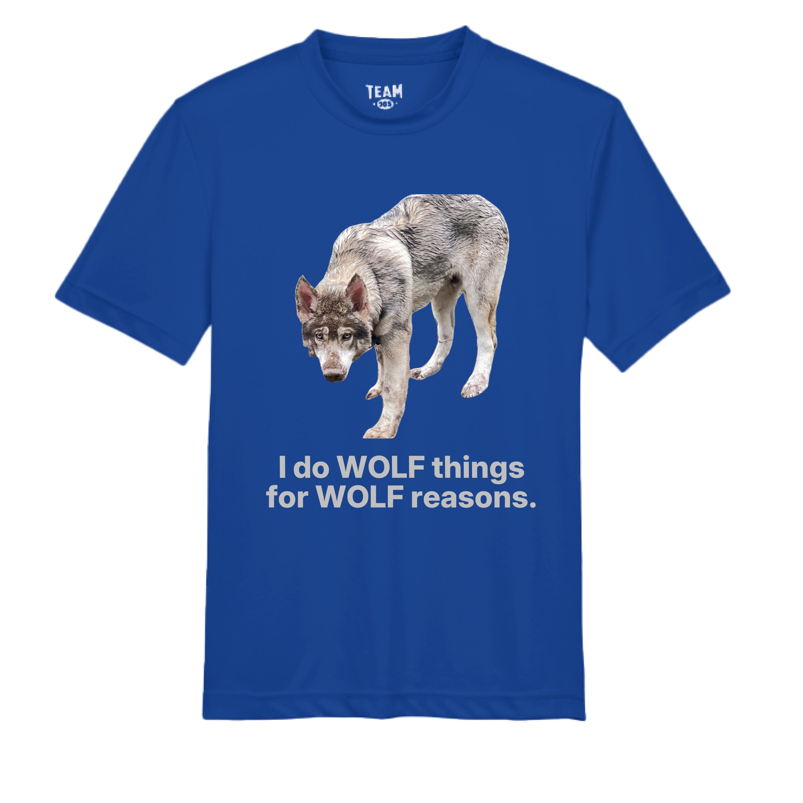 Wolf Things Wolf Reasons - Youth (dark colors)