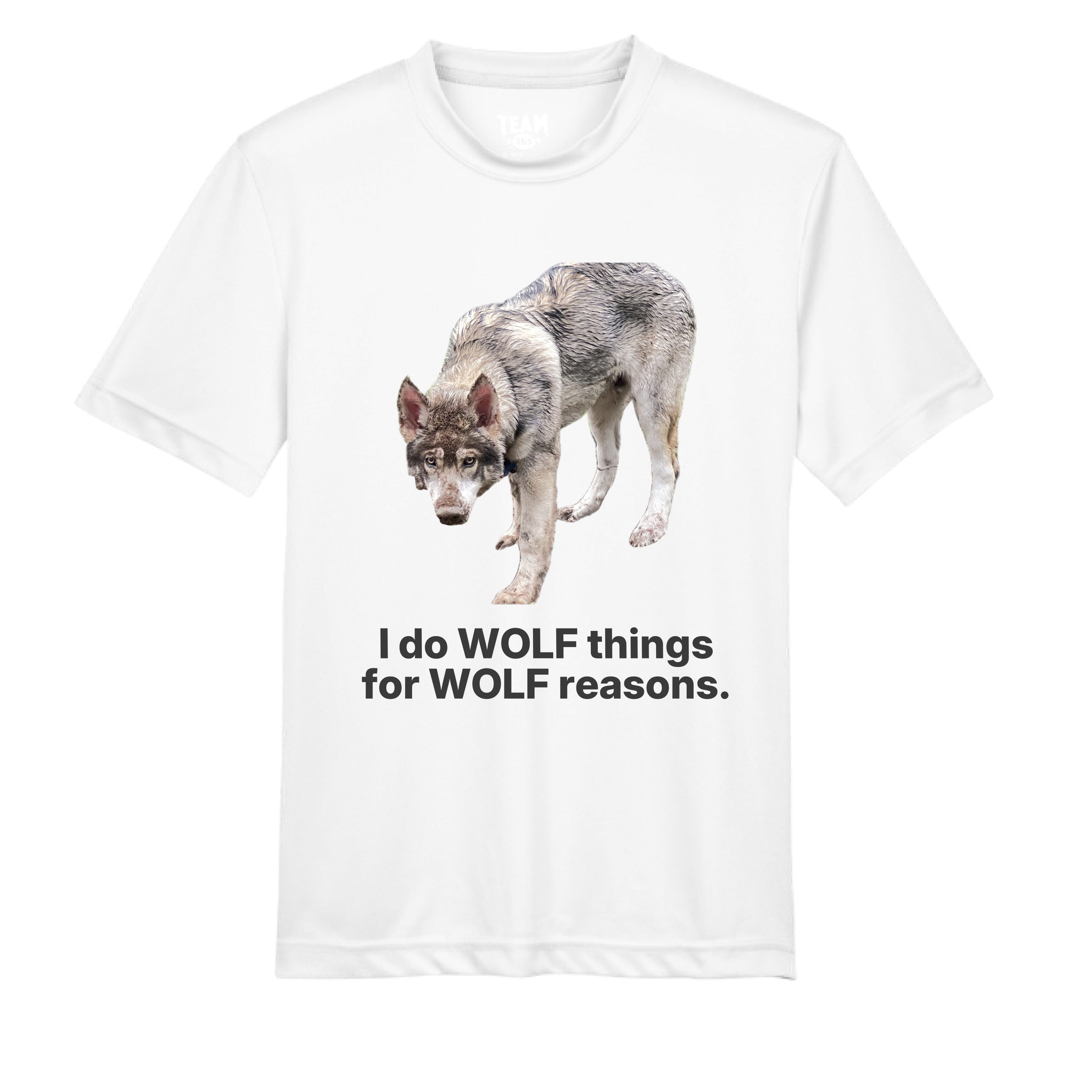 Wolf Things Wolf Reasons - Youth (light colors)
